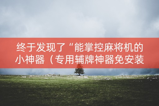 终于发现了“能掌控麻将机的小神器（专用辅牌神器免安装）