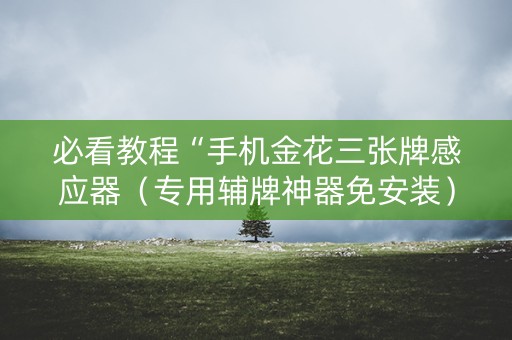 必看教程“手机金花三张牌感应器（专用辅牌神器免安装）