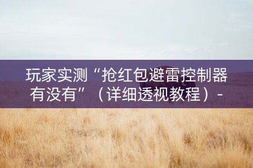 玩家实测“抢红包避雷控制器有没有”（详细透视教程）-哔哩哔哩