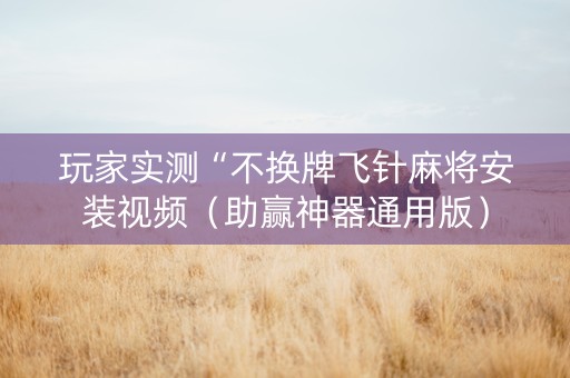 玩家实测“不换牌飞针麻将安装视频（助赢神器通用版）