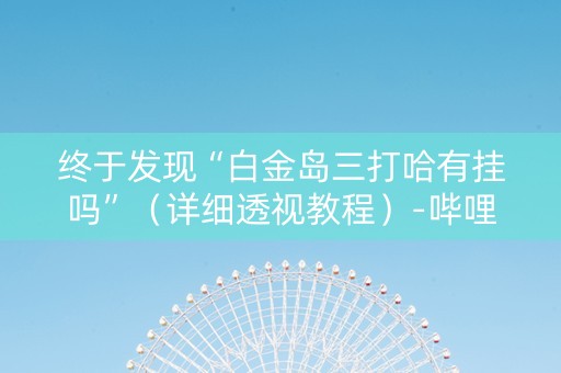 终于发现“白金岛三打哈有挂吗”（详细透视教程）-哔哩哔哩