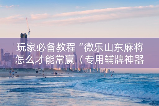 玩家必备教程“微乐山东麻将怎么才能常赢（专用辅牌神器免安装）