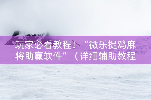 玩家必看教程！“微乐捉鸡麻将助赢软件”（详细辅助教程）-哔哩哔哩