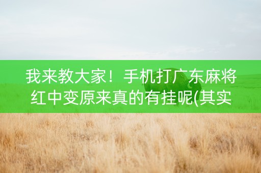 我来教大家！手机打广东麻将红中变原来真的有挂呢(其实真的有挂)