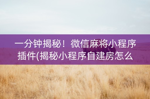 一分钟揭秘！微信麻将小程序插件(揭秘小程序自建房怎么赢)