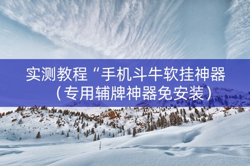 实测教程“手机斗牛软挂神器（专用辅牌神器免安装）