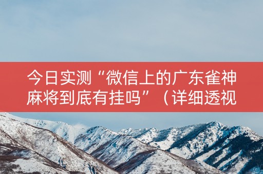 今日实测“微信上的广东雀神麻将到底有挂吗”（详细透视教程）-哔哩哔哩