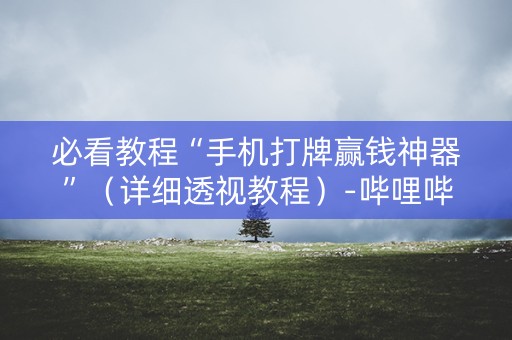 必看教程“手机打牌赢钱神器”（详细透视教程）-哔哩哔哩
