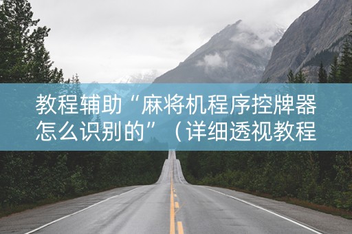 教程辅助“麻将机程序控牌器怎么识别的”（详细透视教程）-哔哩哔哩