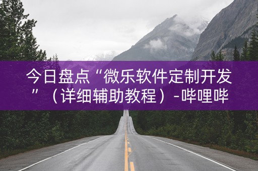今日盘点“微乐软件定制开发”（详细辅助教程）-哔哩哔哩