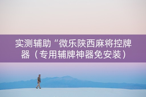 实测辅助“微乐陕西麻将控牌器（专用辅牌神器免安装）