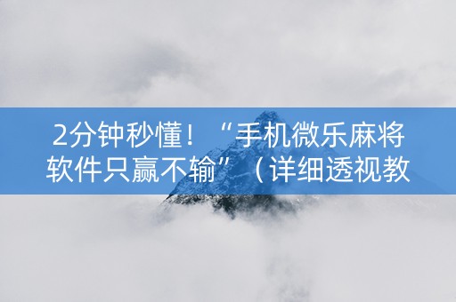 2分钟秒懂！“手机微乐麻将软件只赢不输”（详细透视教程）-哔哩哔哩