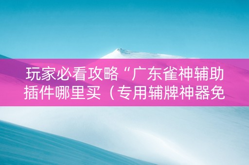 玩家必看攻略“广东雀神辅助插件哪里买（专用辅牌神器免安装）