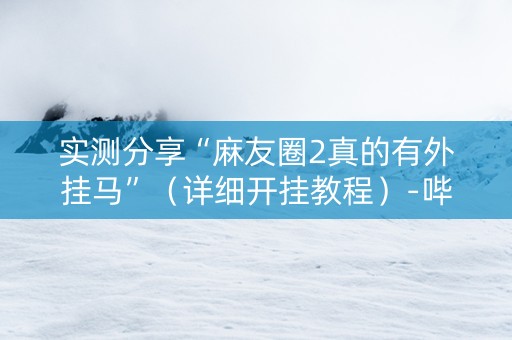实测分享“麻友圈2真的有外挂马”（详细开挂教程）-哔哩哔哩
