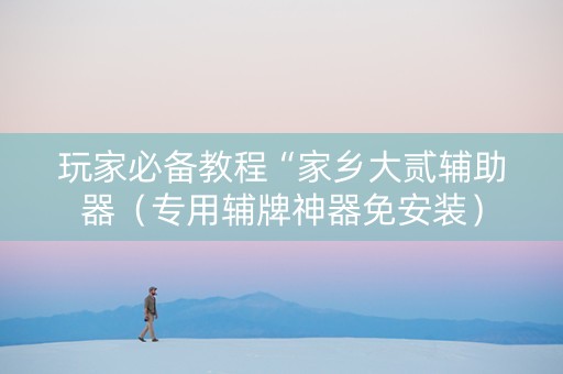 玩家必备教程“家乡大贰辅助器（专用辅牌神器免安装）