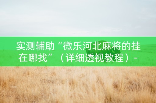 实测辅助“微乐河北麻将的挂在哪找”（详细透视教程）-哔哩哔哩