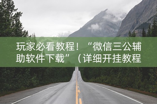 玩家必看教程！“微信三公辅助软件下载”（详细开挂教程）-哔哩哔哩