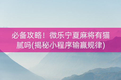 必备攻略！微乐宁夏麻将有猫腻吗(揭秘小程序输赢规律)