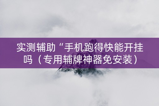 实测辅助“手机跑得快能开挂吗（专用辅牌神器免安装）