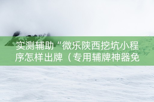 实测辅助“微乐陕西挖坑小程序怎样出牌（专用辅牌神器免安装）