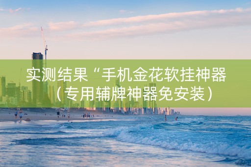 实测结果“手机金花软挂神器（专用辅牌神器免安装）