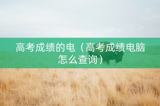 高考成绩的电（高考成绩电脑怎么查询）