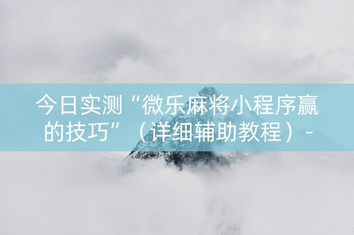 今日实测“微乐麻将小程序赢的技巧”（详细辅助教程）-哔哩哔哩