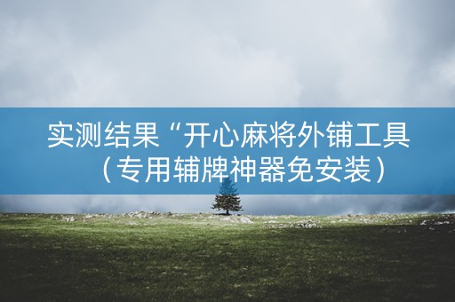 实测结果“开心麻将外铺工具（专用辅牌神器免安装）