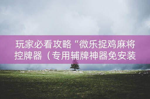 玩家必看攻略“微乐捉鸡麻将控牌器（专用辅牌神器免安装）
