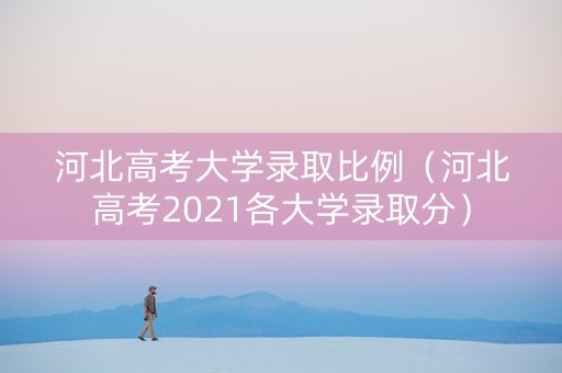 河北高考大学录取比例（河北高考2021各大学录取分）