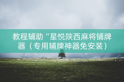 教程辅助“星悦陕西麻将铺牌器（专用辅牌神器免安装）