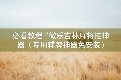 必看教程“微乐吉林麻将挂神器（专用辅牌神器免安装）