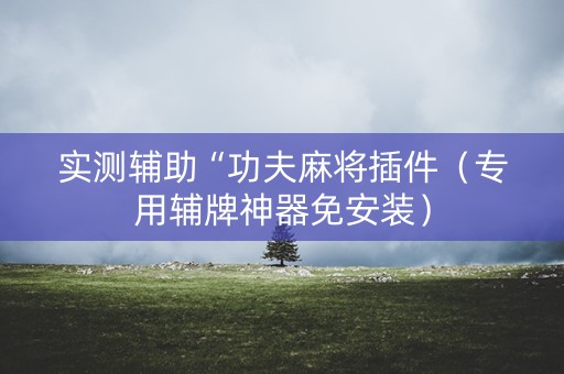 实测辅助“功夫麻将插件（专用辅牌神器免安装）