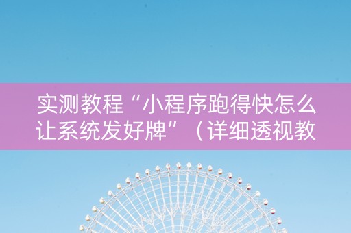 实测教程“小程序跑得快怎么让系统发好牌”（详细透视教程）-哔哩哔哩