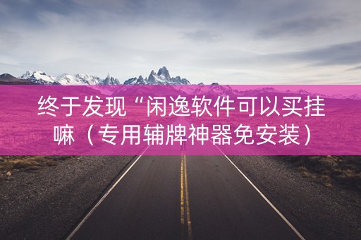 终于发现“闲逸软件可以买挂嘛（专用辅牌神器免安装）