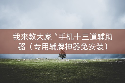 我来教大家“手机十三道辅助器（专用辅牌神器免安装）