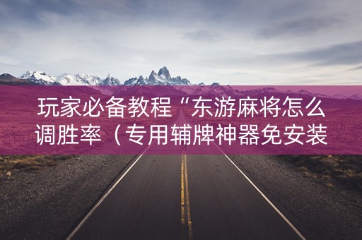 玩家必备教程“东游麻将怎么调胜率（专用辅牌神器免安装）