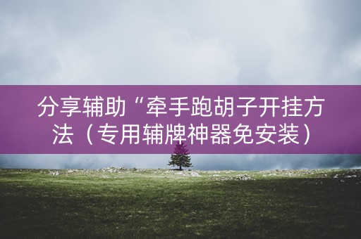 分享辅助“牵手跑胡子开挂方法（专用辅牌神器免安装）