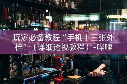 玩家必备教程“手机十三张外挂”（详细透视教程）-哔哩哔哩