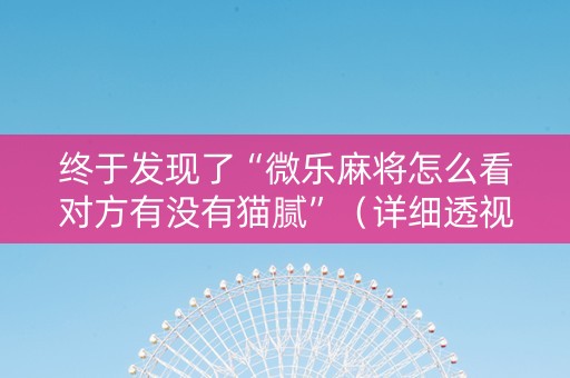 终于发现了“微乐麻将怎么看对方有没有猫腻”（详细透视教程）-哔哩哔哩