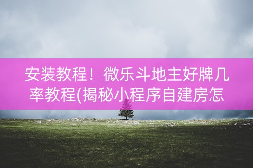 安装教程！微乐斗地主好牌几率教程(揭秘小程序自建房怎么赢)