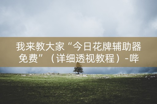 我来教大家“今日花牌辅助器免费”（详细透视教程）-哔哩哔哩