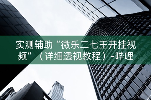实测辅助“微乐二七王开挂视频”（详细透视教程）-哔哩哔哩
