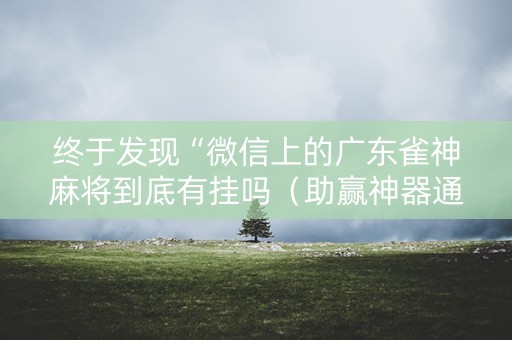 终于发现“微信上的广东雀神麻将到底有挂吗（助赢神器通用版）