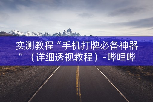 实测教程“手机打牌必备神器”（详细透视教程）-哔哩哔哩