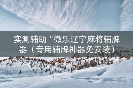 实测辅助“微乐辽宁麻将辅牌器（专用辅牌神器免安装）