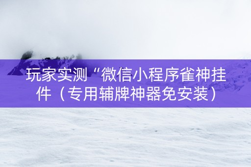 玩家实测“微信小程序雀神挂件（专用辅牌神器免安装）
