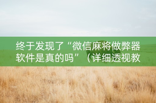 终于发现了“微信麻将做弊器软件是真的吗”（详细透视教程）-哔哩哔哩