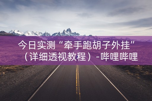 今日实测“牵手跑胡子外挂”（详细透视教程）-哔哩哔哩