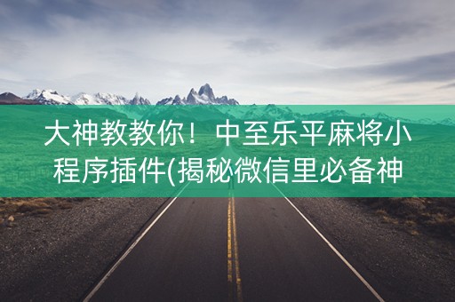 大神教教你！中至乐平麻将小程序插件(揭秘微信里必备神器)
